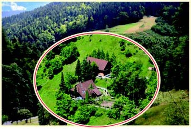 Grundstück zum Kauf provisionsfrei 899.000 € 11.112 m² Grundstück Bad Rippoldsau Bad Rippoldsau-Schapbach 77776