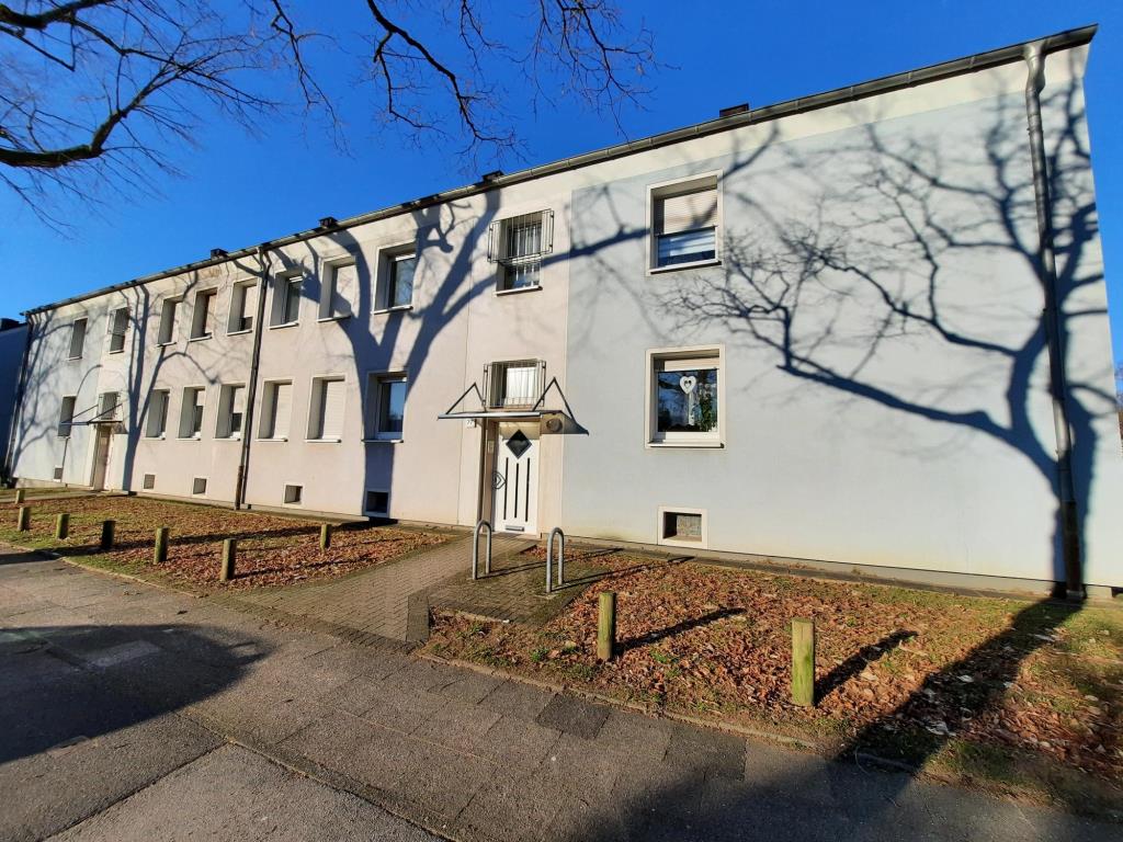 Wohnung zur Miete 391 € 3,5 Zimmer 50 m²<br/>Wohnfläche 1.<br/>Geschoss Kampstraße 77 Brassert Marl 45768