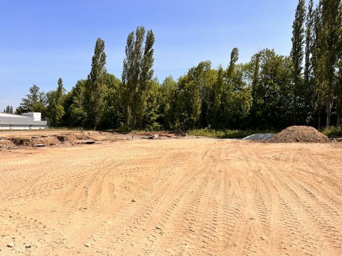 Grundstück zum Kauf provisionsfrei 105.000 € 420 m²<br/>Grundstück Wernigerode Wernigerode 38855