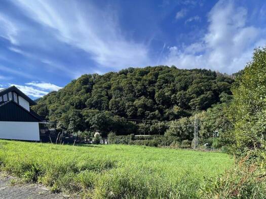 Grundstück zum Kauf 115.000 € 752 m² Grundstück Hilpertsau Gernsbach 76593