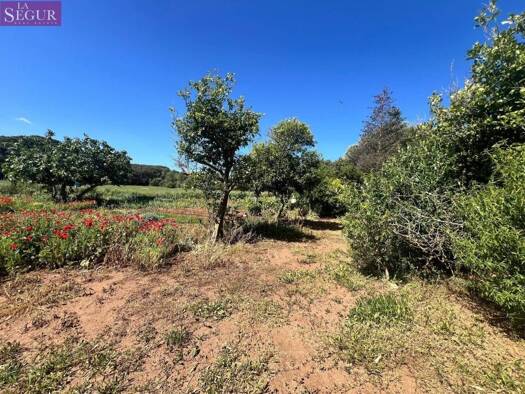 Acker-/Waldstück zum Kauf 350.000 € Vejer de la Frontera 11150