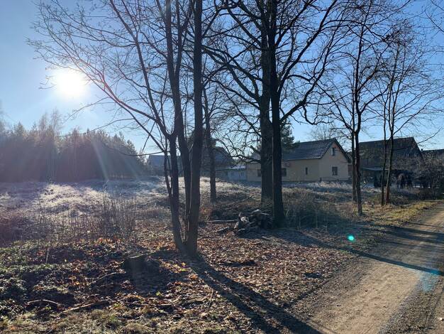 Grundstück zum Kauf 62.000 € 1.000 m² Grundstück Friedhofsweg Schmogrow Schmogrow-Fehrow 03096