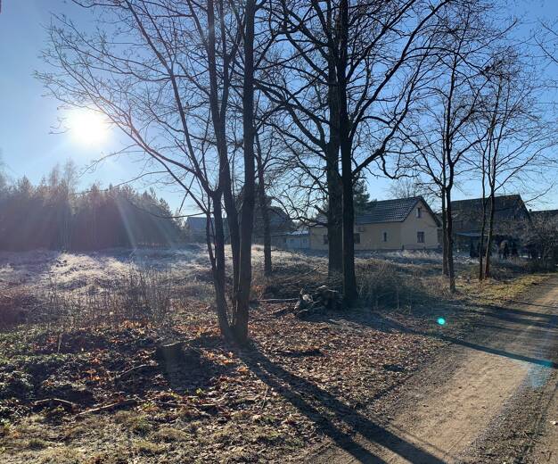 Grundstück zum Kauf 62.000 € 1.000 m² Grundstück Friedhofsweg Schmogrow Schmogrow-Fehrow 03096