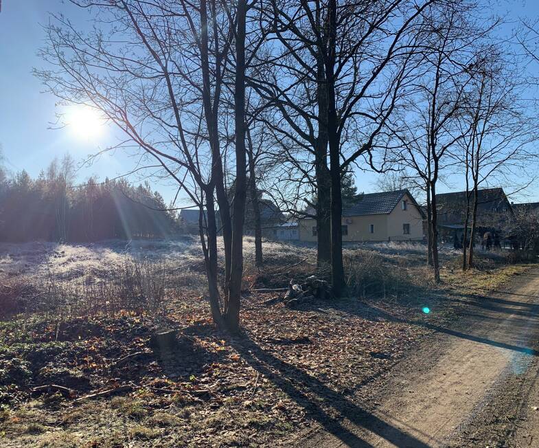 Grundstück zum Kauf 62.000 € 1.000 m² Grundstück Friedhofsweg Schmogrow Schmogrow-Fehrow 03096