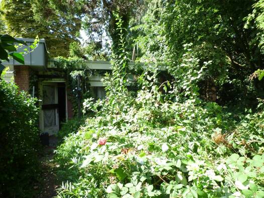 Bungalow zum Kauf 99.000 € 2 Zimmer 50 m² 183 m² Grundstück frei ab sofort Lingen Lingen (Ems) 49808