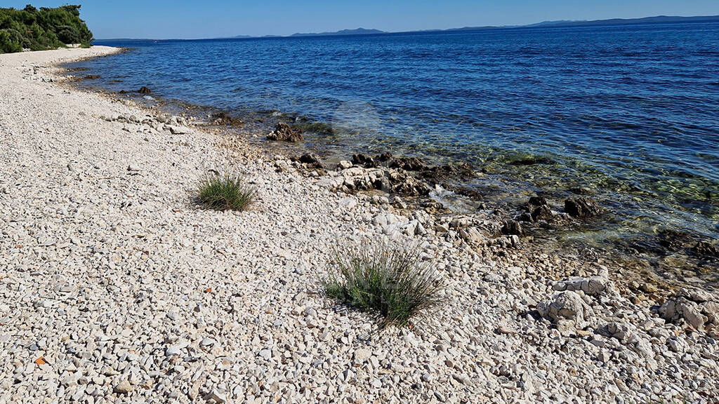 Grundstück zum Kauf 1.572.600 € 7.863 m² Grundstück Vir 23234