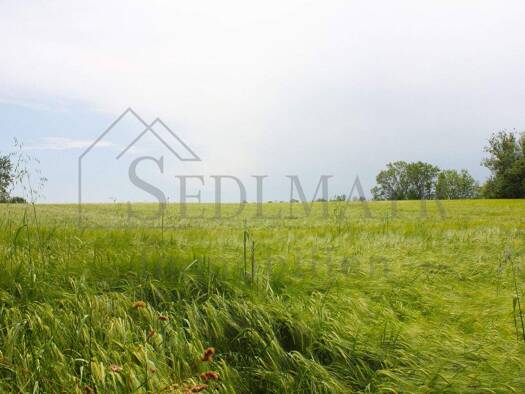 Einfamilienhaus zum Kauf 1.430.000 € 6 Zimmer 245 m² 748 m² Grundstück Seefeld 82229