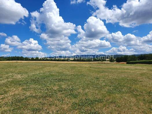 Grundstück zum Kauf provisionsfrei 85.000 € 654 m² Grundstück In der Aue 19 Barchfeld Barchfeld-Immelborn 36456