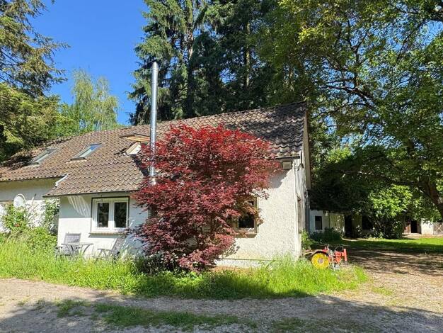 Einfamilienhaus zum Kauf 289.000 € 4 Zimmer 104 m² 9.603 m² Grundstück frei ab sofort Amelgatzen Emmerthal 31860