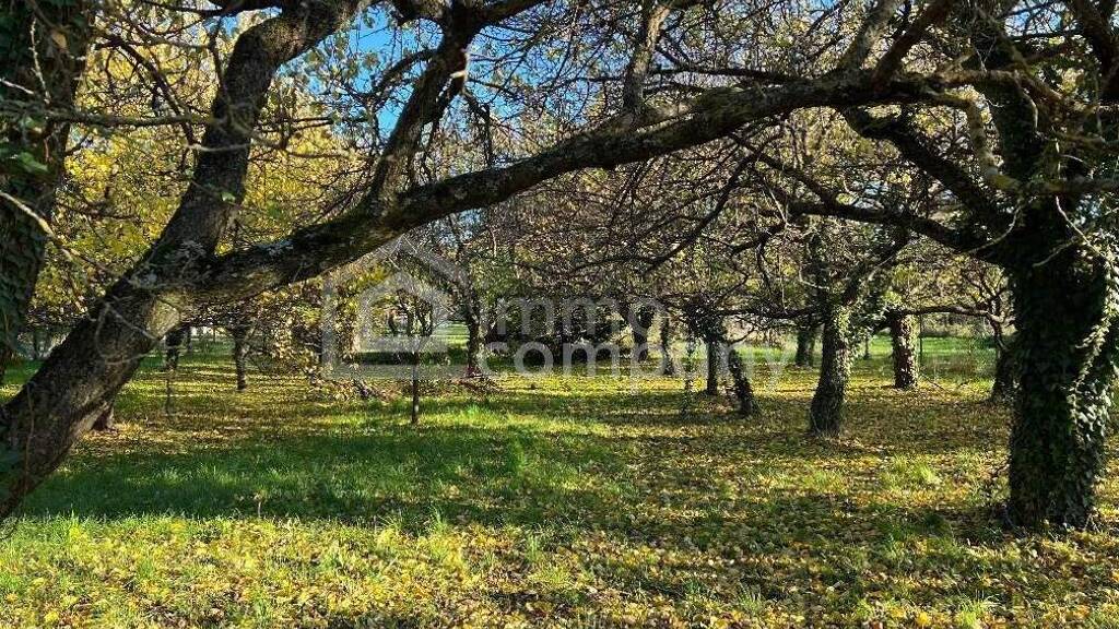 Grundstück zum Kauf 1.290.000 € 5.143 m² Grundstück Hornstein 7053