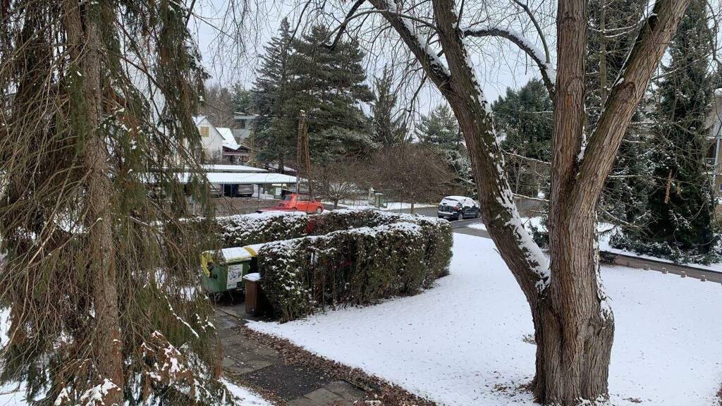 Wohnung zum Kauf 448.000 € 4 Zimmer 115 m² 1. Geschoss Sankt Leonhard Graz,08.Bez.:Sankt Peter 8010