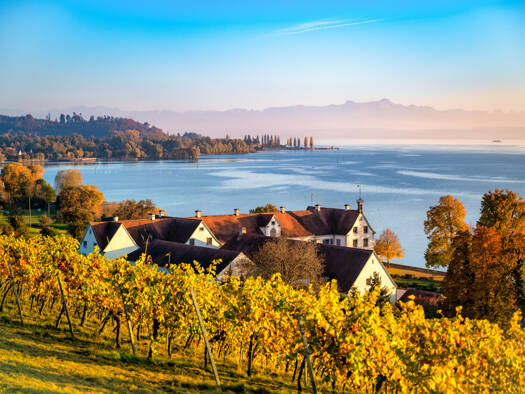 Hotel zum Kauf 27 Zimmer Unteruhldingen Uhldingen-Mühlhofen 88690