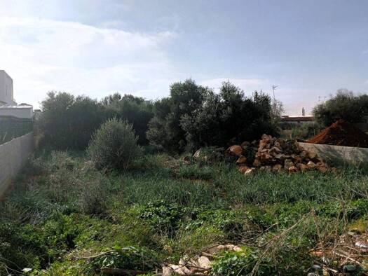Acker-/Waldstück zum Kauf 170.000 € des Garbelló Santanyí 07660