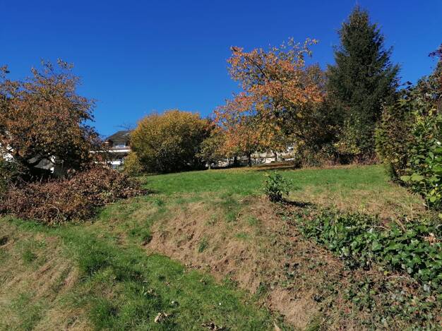 Grundstück zum Kauf 135.000 € 1.131,2 m² Grundstück Altenbeken Altenbeken 33184