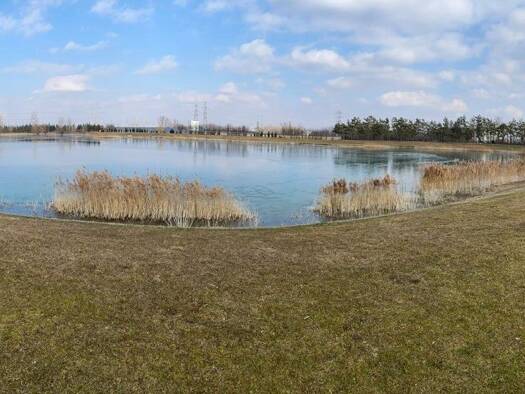 Grundstück zum Kauf 115.000 € 516 m² Grundstück Trasdorf 3452