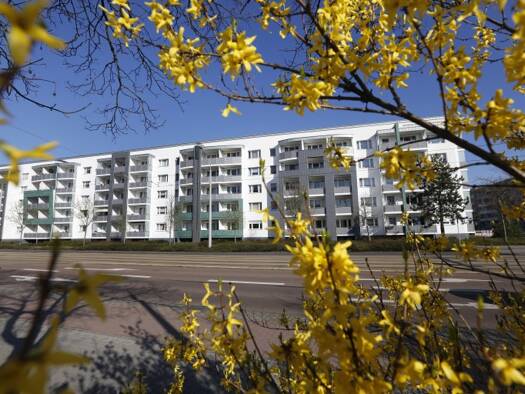 Studio zur Miete 275 € 1 Zimmer 28 m² 2. Geschoss frei ab 01.11.2026 Askanische Straße 72 Innenstadt Dessau-Roßlau 06842
