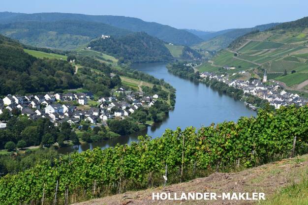 Freizeitgrundstück zum Kauf 8.200 € 1.163 m² Grundstück Zell Zell (Mosel) 56856