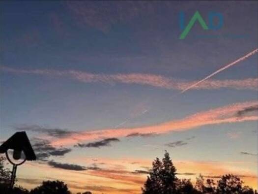 Mehrfamilienhaus zum Kauf 650.000 € 10 Zimmer 260 m² 825 m² Grundstück Albeck Langenau 89129