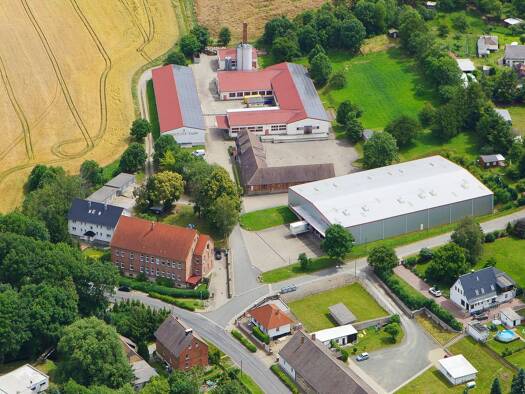 Halle/Industriefläche zum Kauf provisionsfrei 1.179.000 € 5.340 m² Lagerfläche Zilly Osterwieck 38835