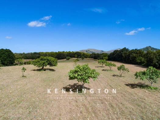 Grundstück zum Kauf provisionsfrei 378.000 € 23.240 m² Grundstück Artá 07570