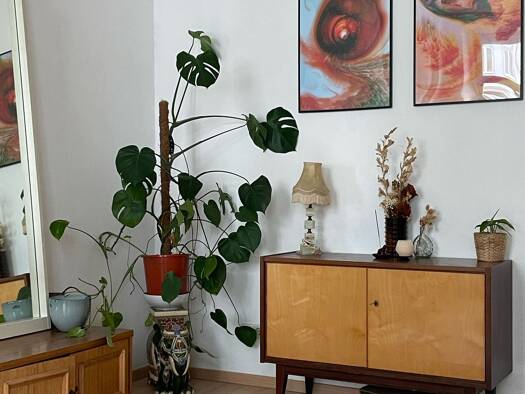 Wohnung zur Miete 650 € 1,5 Zimmer 55 m² Geschoss 1/1 frei ab 10.04.2026 Plauen Dresden 01187