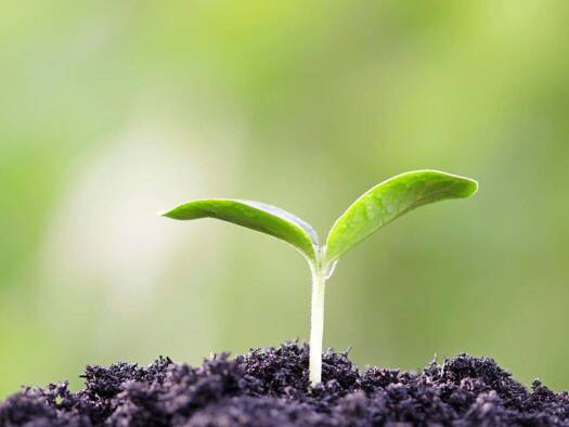 Freizeitgrundstück zum Kauf 20.000 € 3.698 m² Grundstück Lustnau Tübingen 72074