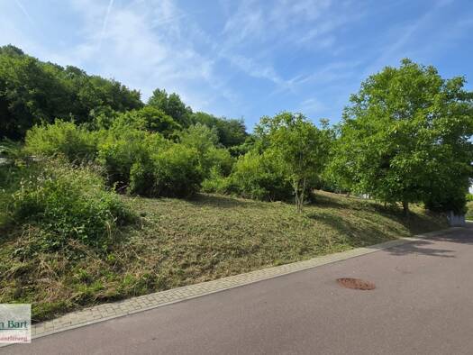 Grundstück zum Kauf 159.800 € 1.315 m² Grundstück Kirf Kirf 54441