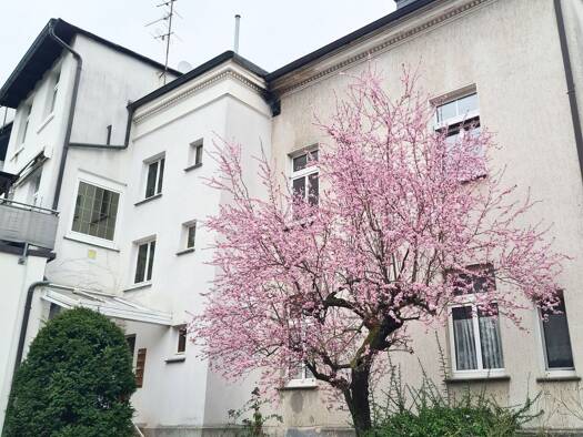 Wohnung zur Miete 400 € 3 Zimmer 59 m² frei ab sofort Hellefelder Straße 66 Arnsberg Arnsberg 59821