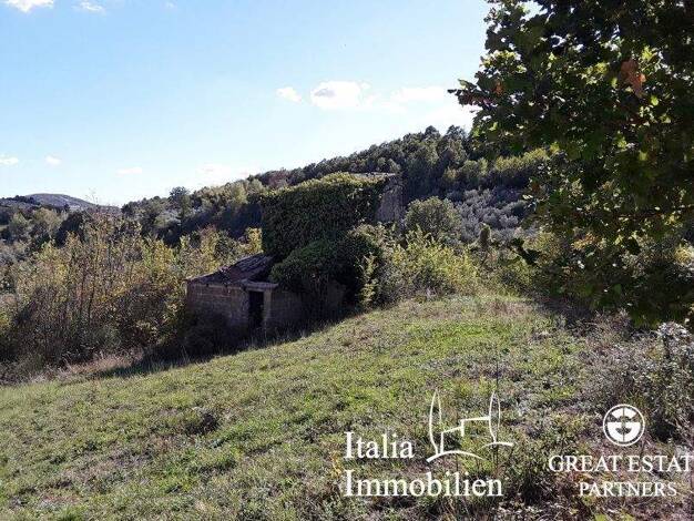 Bauernhaus zum Kauf 90.000 € 3 Zimmer 100 m² 10.000 m² Grundstück Gualdo Cattaneo 06035