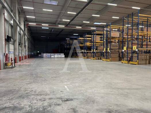 Halle/Industriefläche zur Miete 20.994 m² Lagerfläche teilbar ab 20.994 m² Reisholz Düsseldorf 40599