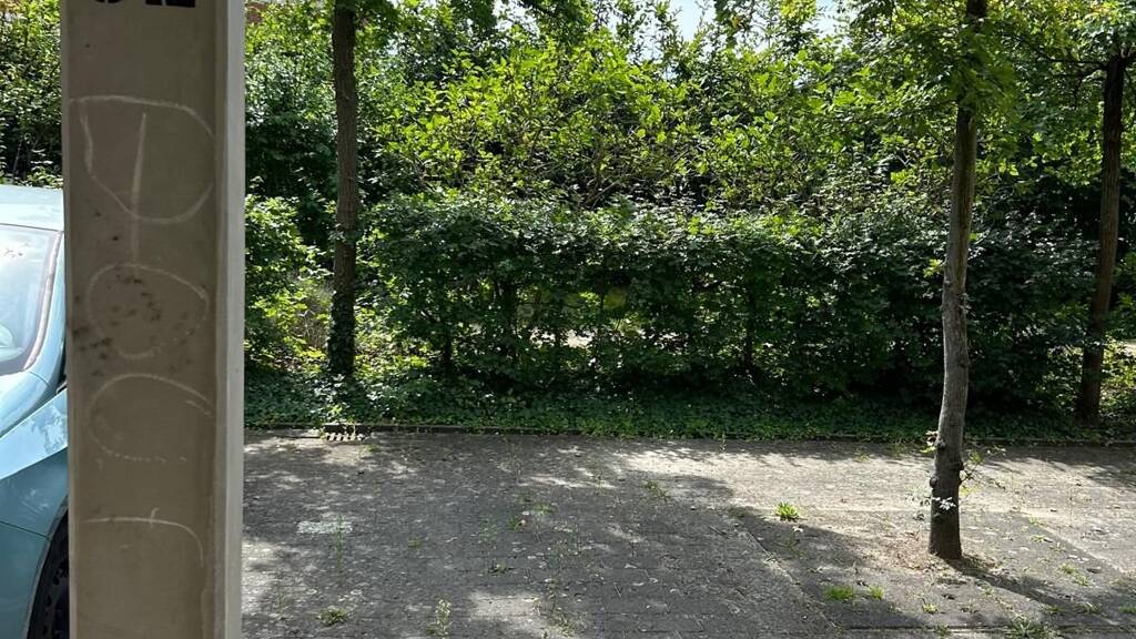 Außenstellplatz zur Miete provisionsfrei 69 € Zum Teich 14 Kirchsteigfeld Potsdam 14480