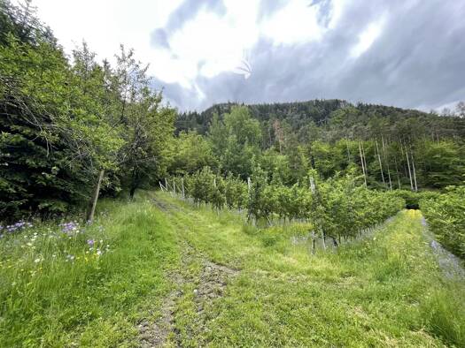 Grundstück zum Kauf 504.000 € 6.300 m² Grundstück strada Klabers Brixen 39042