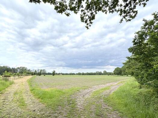 Land-/Forstwirtschaft zum Kauf 70.000 € 13.568 m² Grundstück Hollwege Westerstede 26655