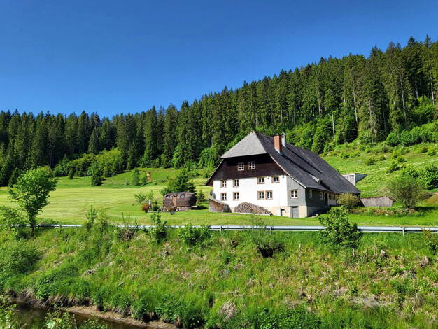 Bauernhaus zum Kauf provisionsfrei 795.000 € 7 Zimmer 180 m² 3.300 m² Grundstück Hammereisenbach-Bregenbach Vöhrenbach 78147