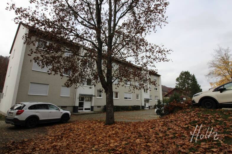 Wohnung zur Miete 500 € 3 Zimmer 68,7 m² 1. Geschoss frei ab sofort Mühlstädtle 3 Immendingen Immendingen 78194