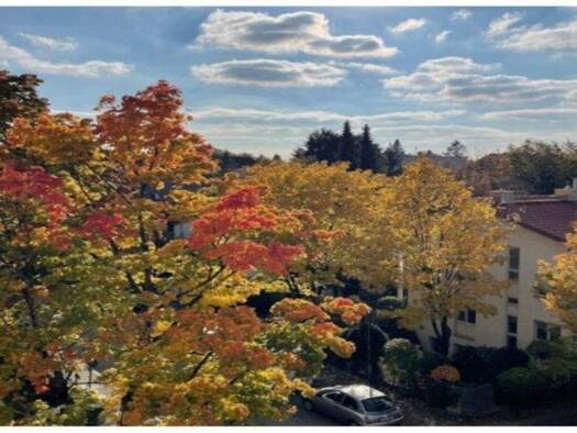 Wohnung zur Miete 810 € 2 Zimmer 54 m² 3. Geschoss Ursberger Str. 8 Berg am Laim München 81673