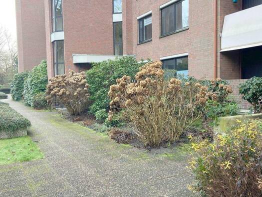 Wohnung zur Miete 850 € 2 Zimmer 82 m² frei ab 02.01.2026 Oberneuland Bremen 28355