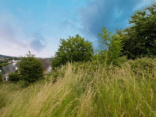 Grundstück zum Kauf 120.000 € 574 m² Grundstück Mendig 56743