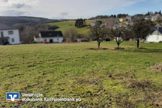 Grundstück zum Kauf 34.097 € 684 m² Grundstück Schönberg 54426