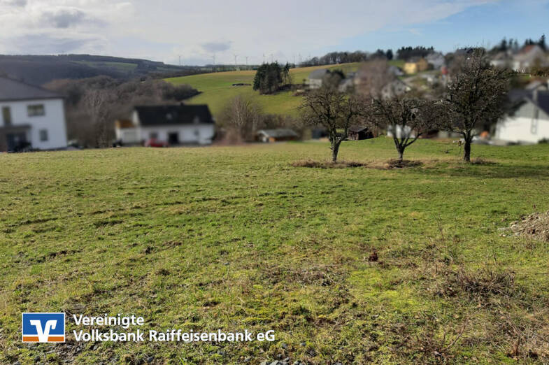 Grundstück zum Kauf 34.097 € 684 m² Grundstück Schönberg 54426