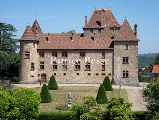Schloss zum Kauf 3.800.000 € 20 Zimmer 2.950 m² 133.735 m² Grundstück Septème 38780