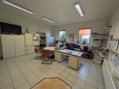 Büro-/Praxisfläche zur Miete provisionsfrei 350 € 3 Zimmer 250 m² Bürofläche Neukieritzsch Neukieritzsch 04575