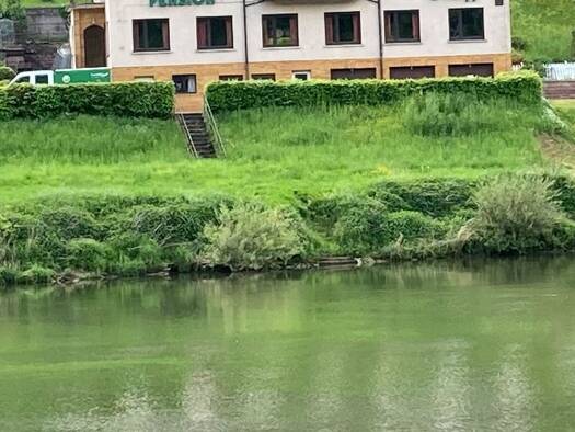 Mehrfamilienhaus zum Kauf 490.000 € 45 Zimmer 890 m² 1.220 m² Grundstück frei ab sofort Rockenau Eberbach 69412