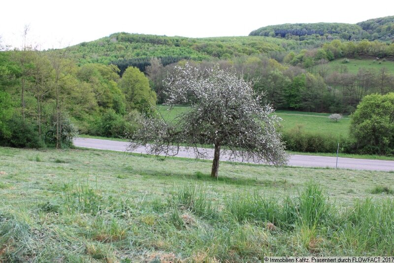 Grundstück zum Kauf 98.000 € 1.683 m²<br/>Grundstück Frankelbach 67737