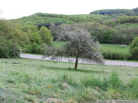 Grundstück zum Kauf 85.000 € 1.683 m² Grundstück Frankelbach 67737