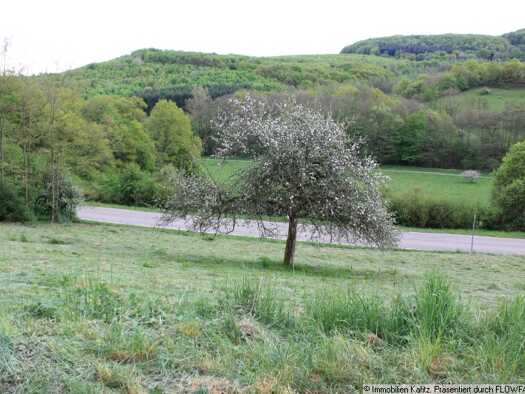 Grundstück zum Kauf 85.000 € 1.683 m² Grundstück Frankelbach 67737