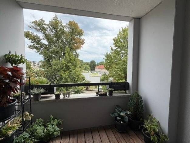 Wohnung zur Miete 810 € 2 Zimmer 53 m² frei ab 01.11.2026 Innenstadt Augsburg 86153