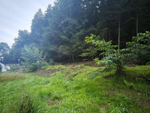 Grundstück zum Kauf 252.000 € 1.283 m² Grundstück Langenthal Hirschhorn 69434