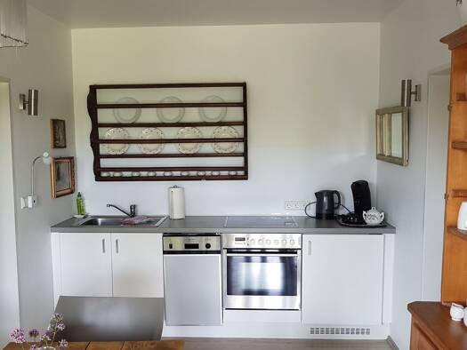 Wohnung zur Miete 900 € 2 Zimmer 47 m² frei ab 01.02.2026 Billigheim Billigheim-Ingenheim 76831