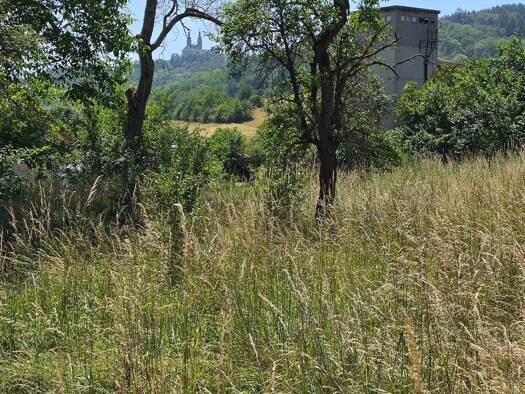 Grundstück zum Kauf 79.000 € 5.000 m² Grundstück Weingarten Lichtenfels 96215